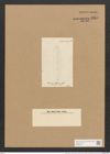 Berkeleya rutilans var. drillwynii (Ag.) Grun. (de-Toni-Nr.: Genus 21, Species 1218) Zeichnungen Sammlung Grunow Nr. 2345 (NHMW-BOT-W0369475)